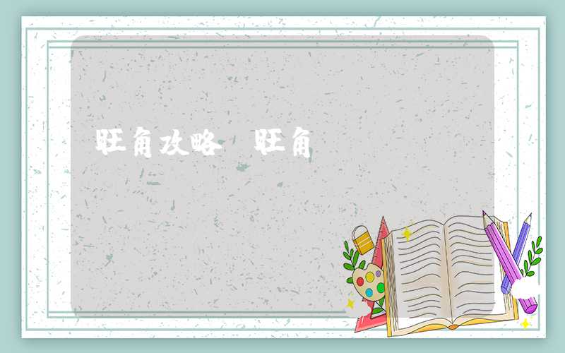 旺角攻略（旺角_wjvc）