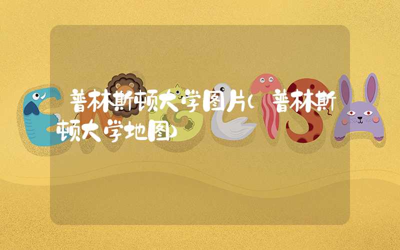 普林斯顿大学图片（普林斯顿大学地图）
