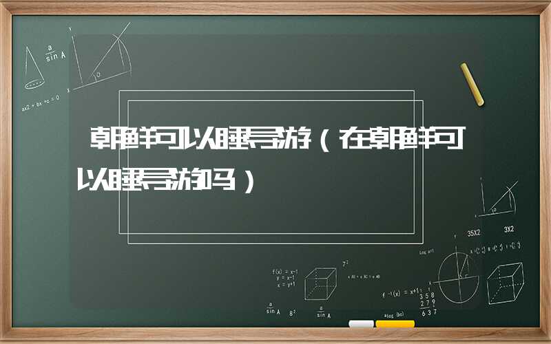 朝鲜可以睡导游（在朝鲜可以睡导游吗）