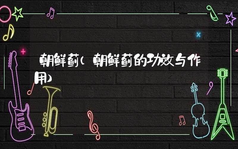 朝鲜蓟（朝鲜蓟的功效与作用）