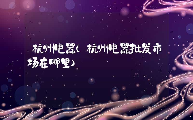 杭州电器（杭州电器批发市场在哪里）