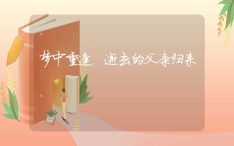 梦中重逢 逝去的父亲归来