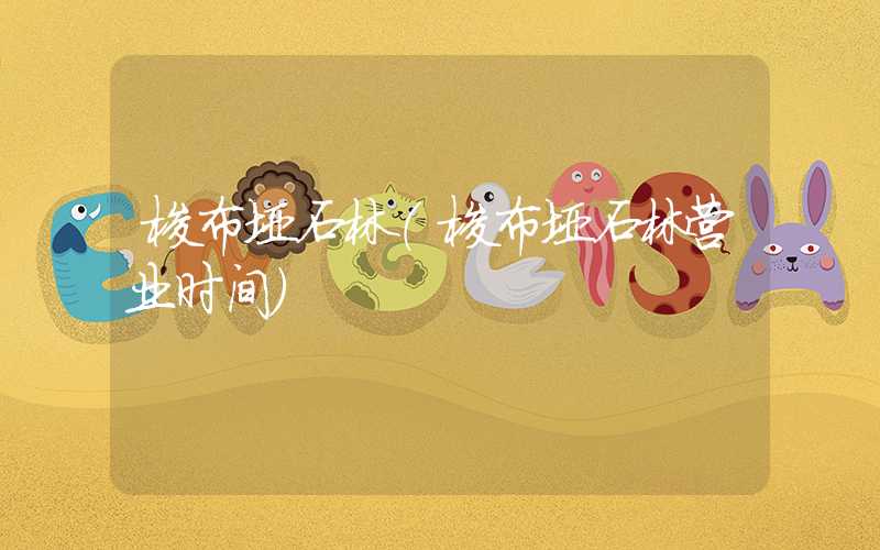 梭布垭石林（梭布垭石林营业时间）