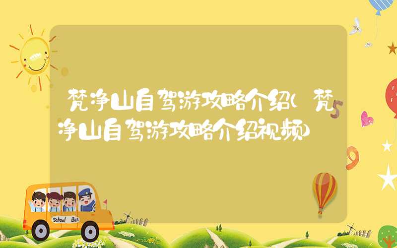 梵净山自驾游攻略介绍（梵净山自驾游攻略介绍视频）