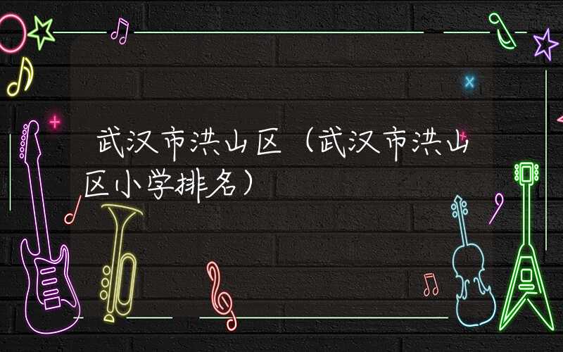 武汉市洪山区（武汉市洪山区小学排名）