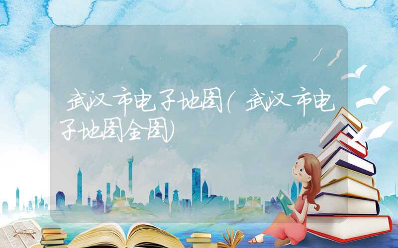 武汉市电子地图（武汉市电子地图全图）