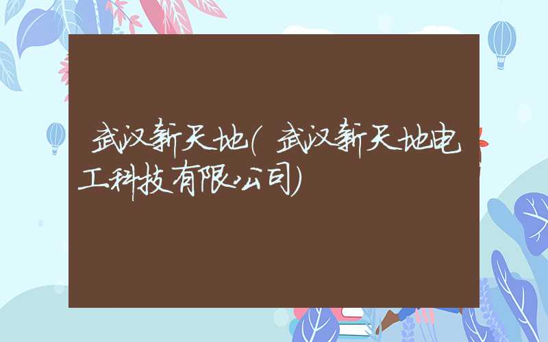 武汉新天地（武汉新天地电工科技有限公司）
