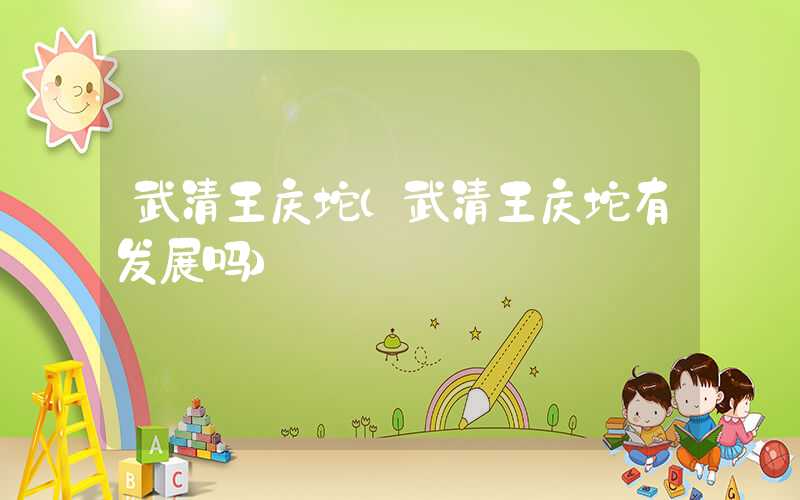武清王庆坨（武清王庆坨有发展吗）