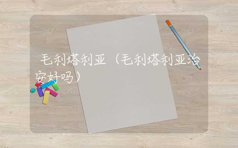 毛利塔利亚（毛利塔利亚治安好吗）