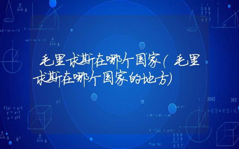 毛里求斯在哪个国家(毛里求斯在哪个国家的地方)