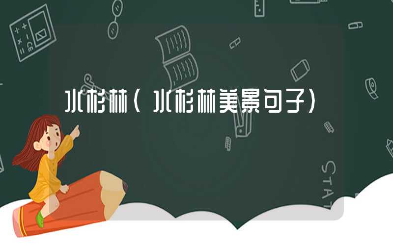 水杉林（水杉林美景句子）