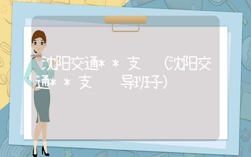沈阳交通**支队（沈阳交通**支队领导班子）