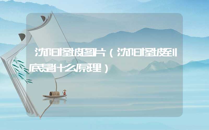 沈阳怪坡图片（沈阳怪坡到底是什么原理）