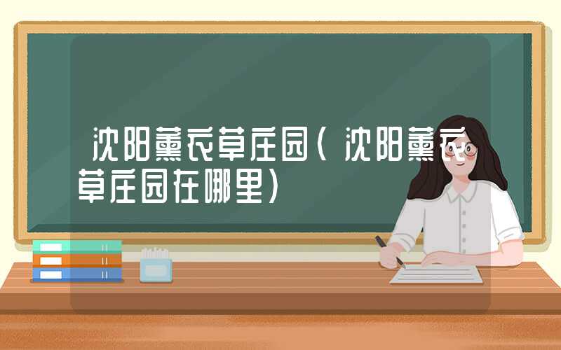 沈阳薰衣草庄园（沈阳薰衣草庄园在哪里）