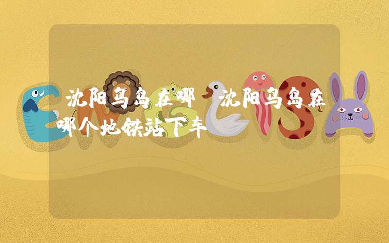 沈阳鸟岛在哪(沈阳鸟岛在哪个地铁站下车)