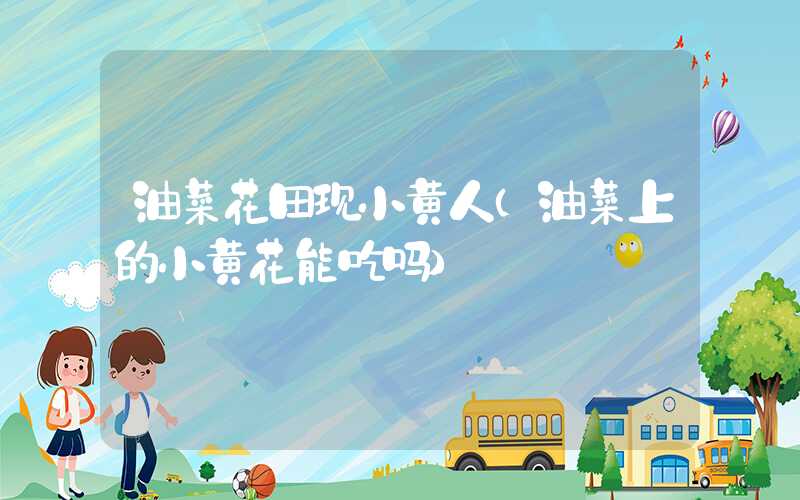 油菜花田现小黄人（油菜上的小黄花能吃吗）
