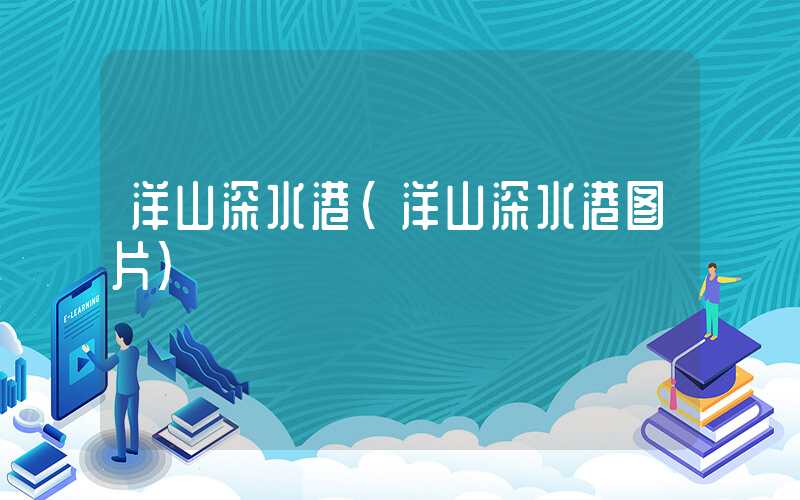 洋山深水港（洋山深水港图片）