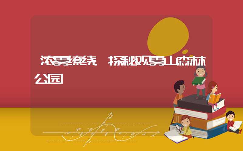 浓雾缭绕,探秘观雾山森林公园