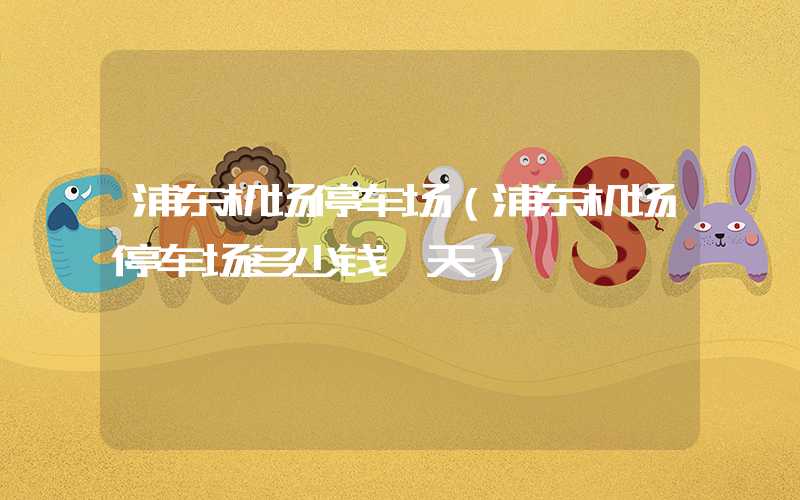 浦东机场停车场(浦东机场停车场多少钱一天)