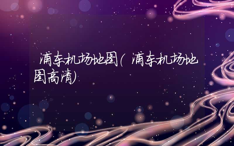 浦东机场地图(浦东机场地图高清)