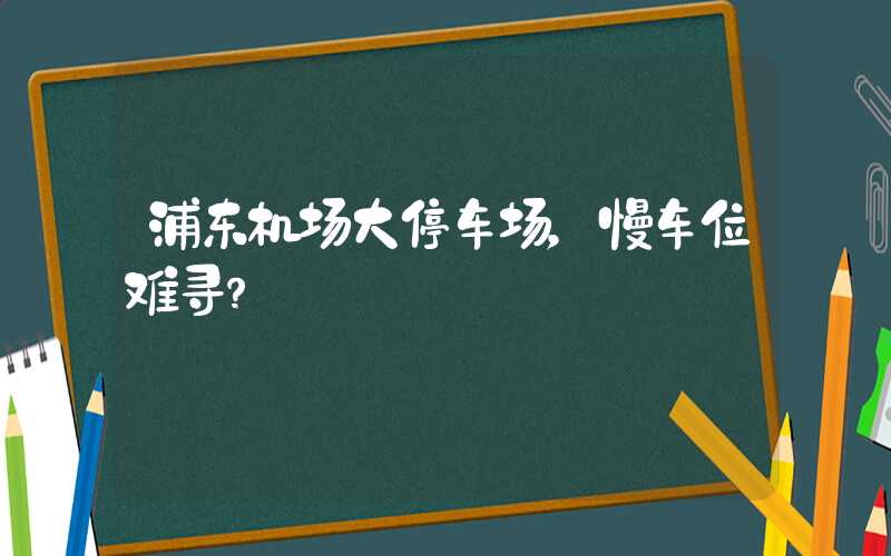 浦东机场大停车场，慢车位难寻？