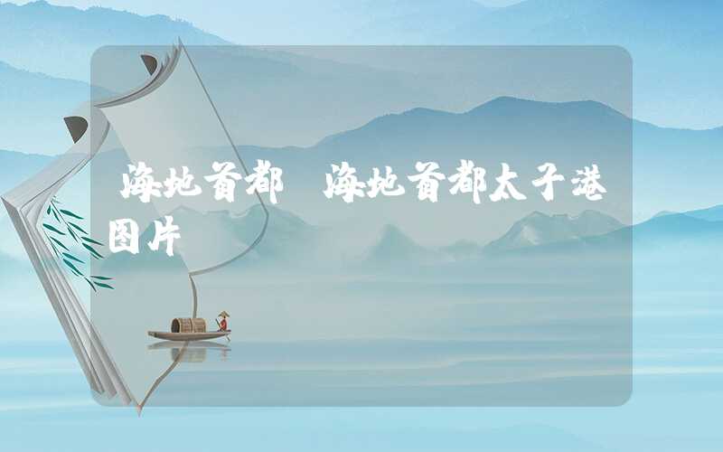 海地首都（海地首都太子港图片）