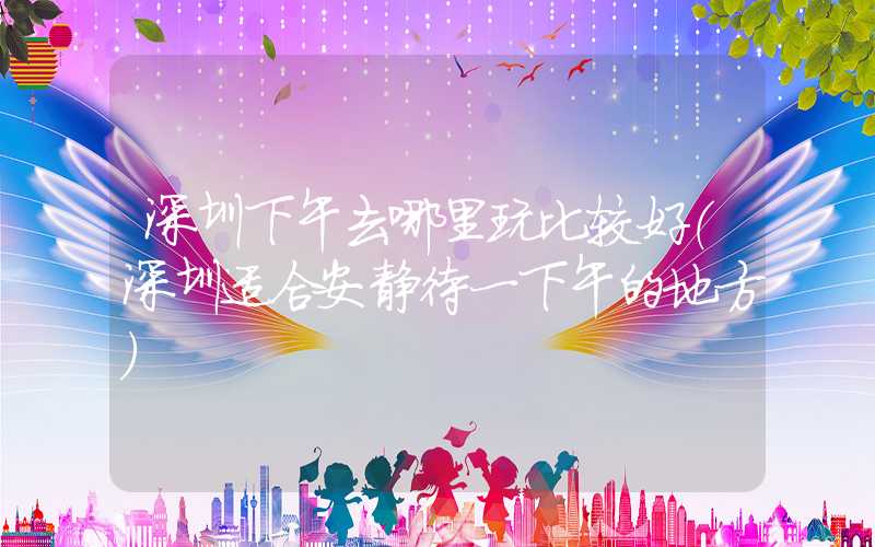 深圳下午去哪里玩比较好（深圳适合安静待一下午的地方）
