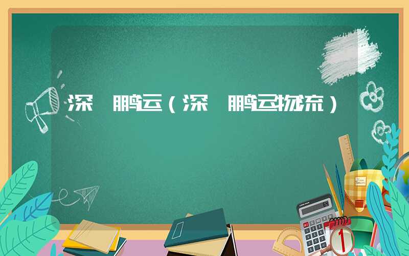 深圳鹏运（深圳鹏运物流）