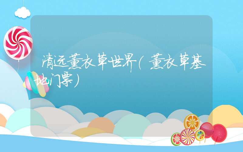 清远薰衣草世界（薰衣草基地门票）