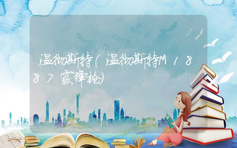 温彻斯特（温彻斯特M1887霰弹枪）