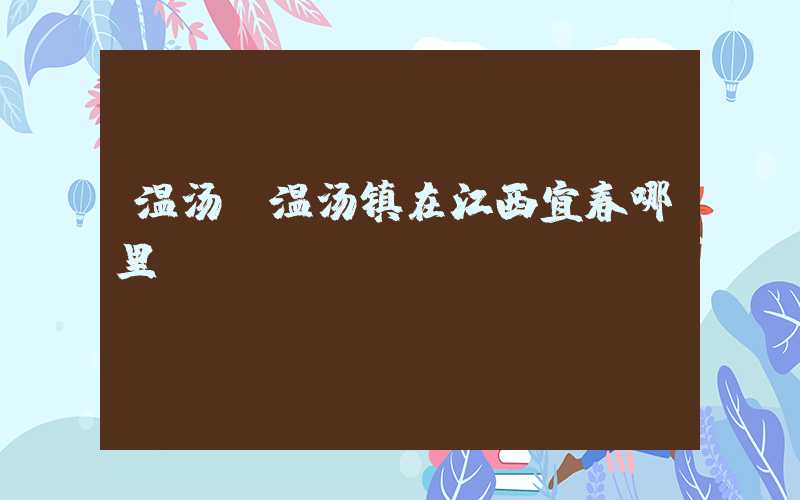 温汤（温汤镇在江西宜春哪里）