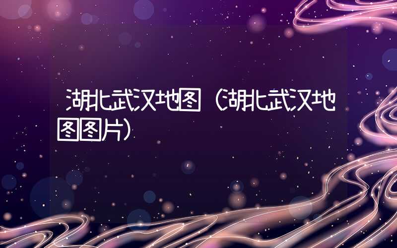 湖北武汉地图（湖北武汉地图图片）