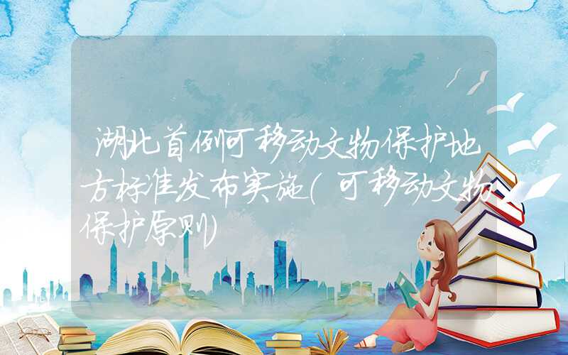 湖北首例可移动文物保护地方标准发布实施（可移动文物保护原则）