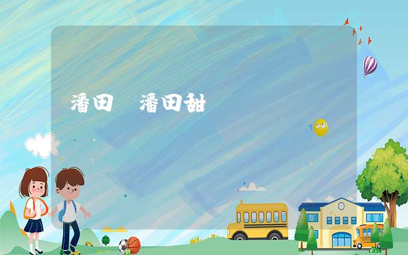 潘田（潘田甜）