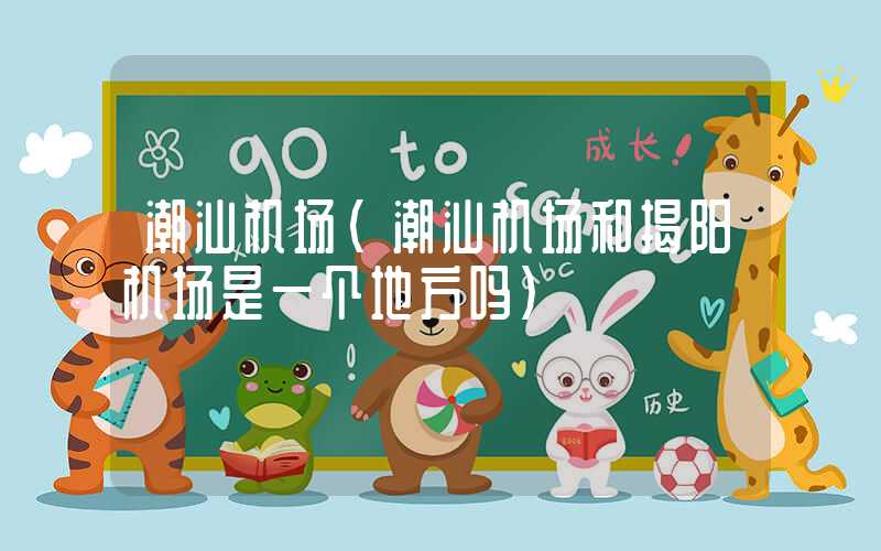 潮汕机场（潮汕机场和揭阳机场是一个地方吗）