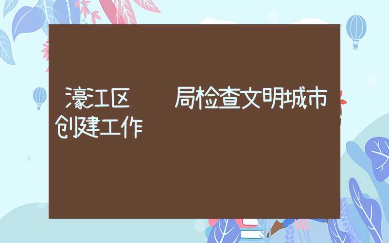 濠江区统计局检查文明城市创建工作