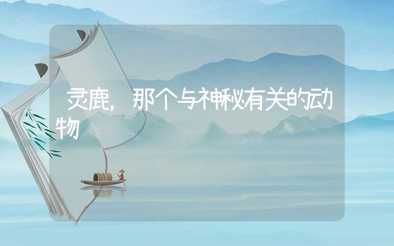 灵鹿，那个与神秘有关的动物