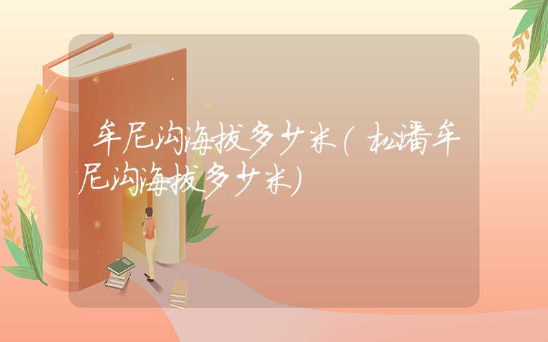 牟尼沟海拔多少米（松潘牟尼沟海拔多少米）