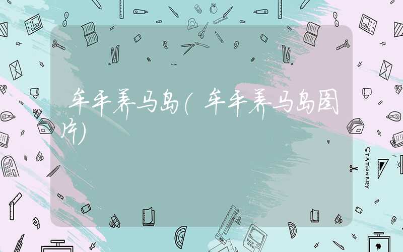 牟平养马岛（牟平养马岛图片）