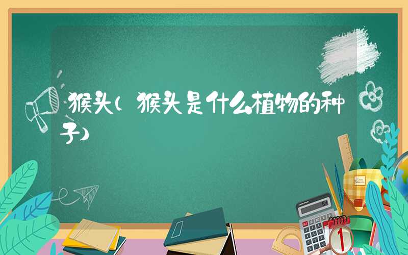 猴头（猴头是什么植物的种子）
