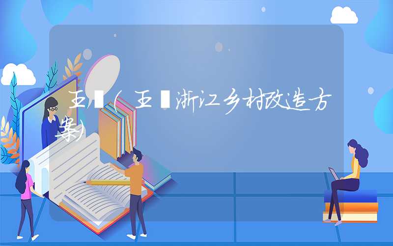王澍（王澍浙江乡村改造方案）