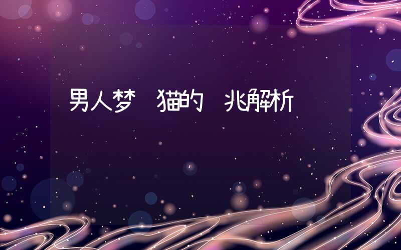 男人梦见猫的预兆解析