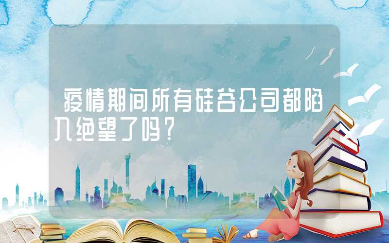 疫情期间所有硅谷公司都陷入绝望了吗?