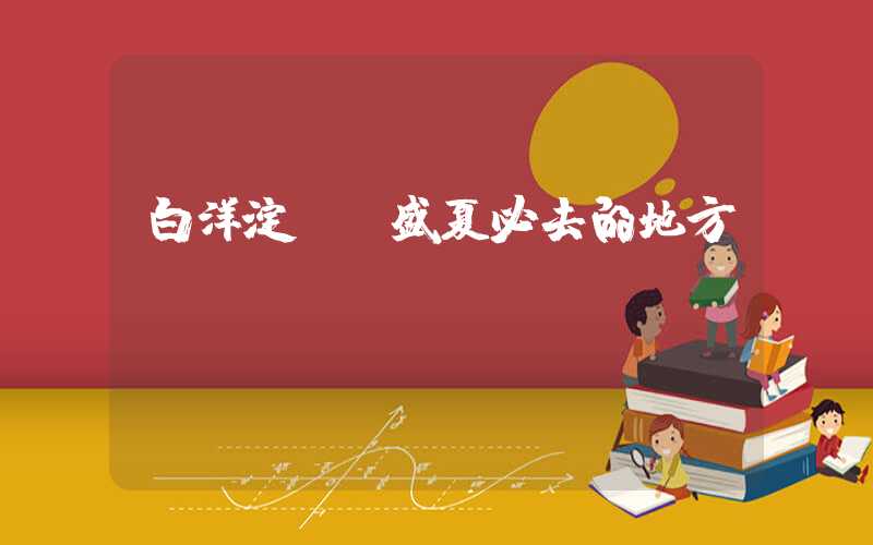 白洋淀——盛夏必去的地方