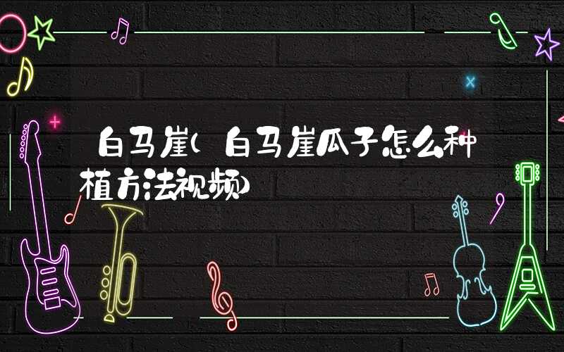 白马崖（白马崖瓜子怎么种植方法视频）