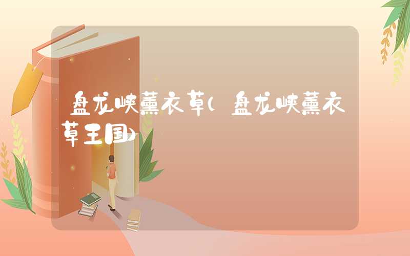 盘龙峡薰衣草（盘龙峡薰衣草王国）