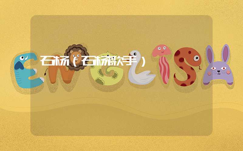 石杨（石杨歌手）