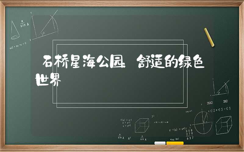 石桥星海公园:舒适的绿色世界