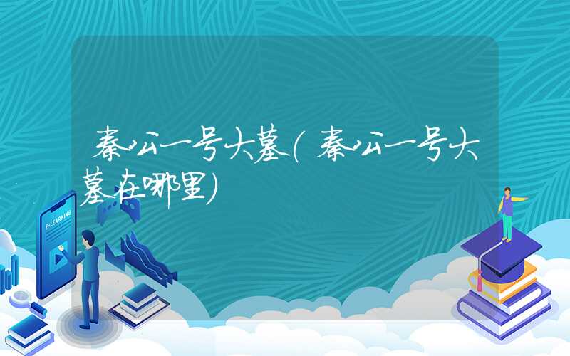 秦公一号大墓(秦公一号大墓在哪里)