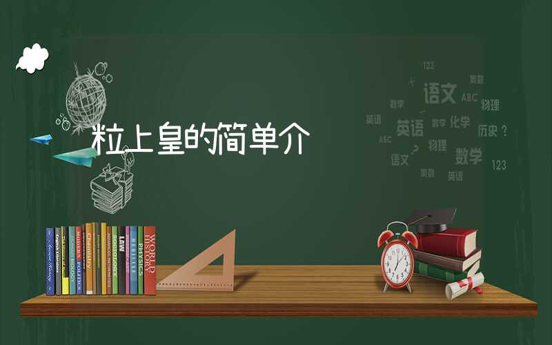 粒上皇的简单介绍